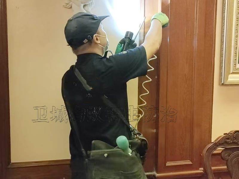 广州番禺区白蚁防治除虫专家,广州番禺区上门灭治白蚁中心,广州番禺区消杀白蚁公司电话