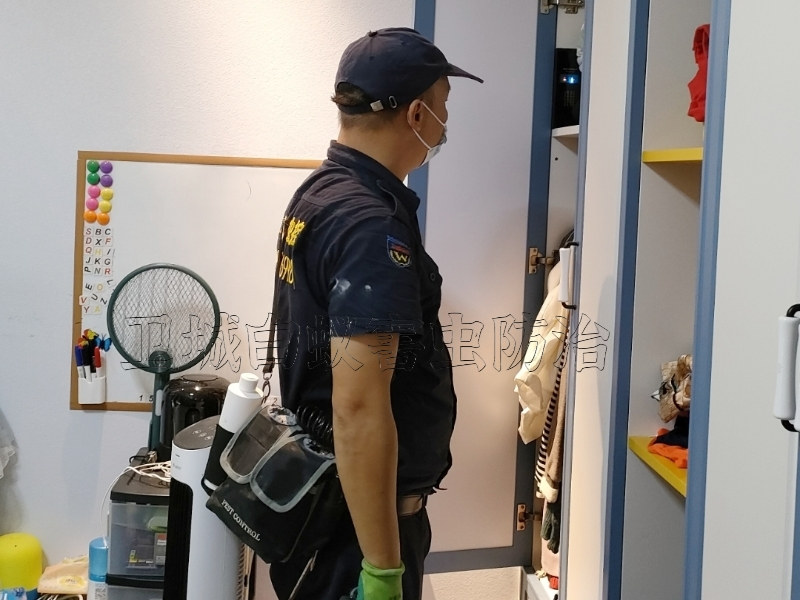 广州南沙区白蚁防治除虫专家,广州南沙区上门灭治白蚁中心,广州南沙区消杀白蚁公司电话