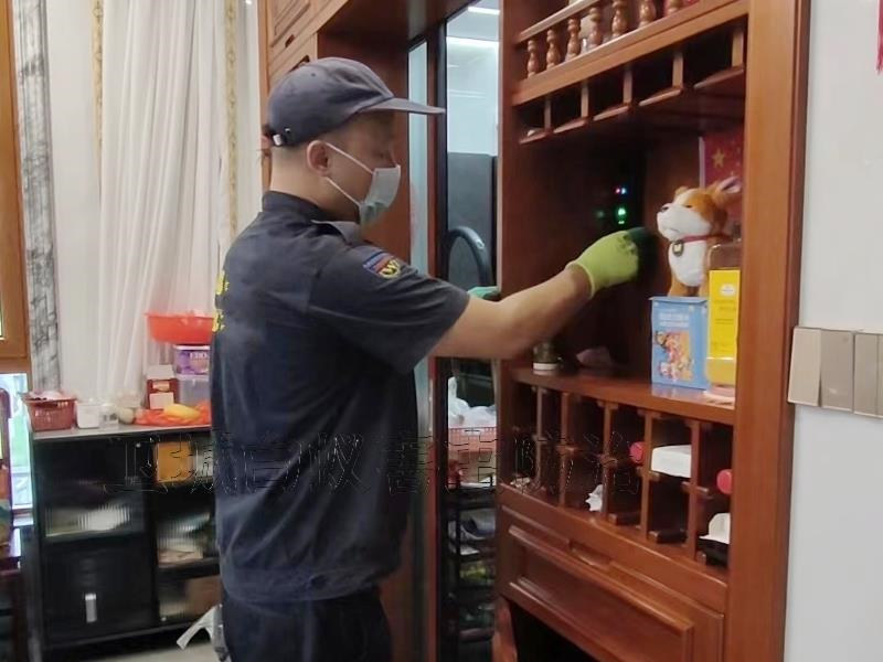 惠州白蚁防治服务,惠州市防治白蚁权威机构,惠州上门灭除白蚁中心