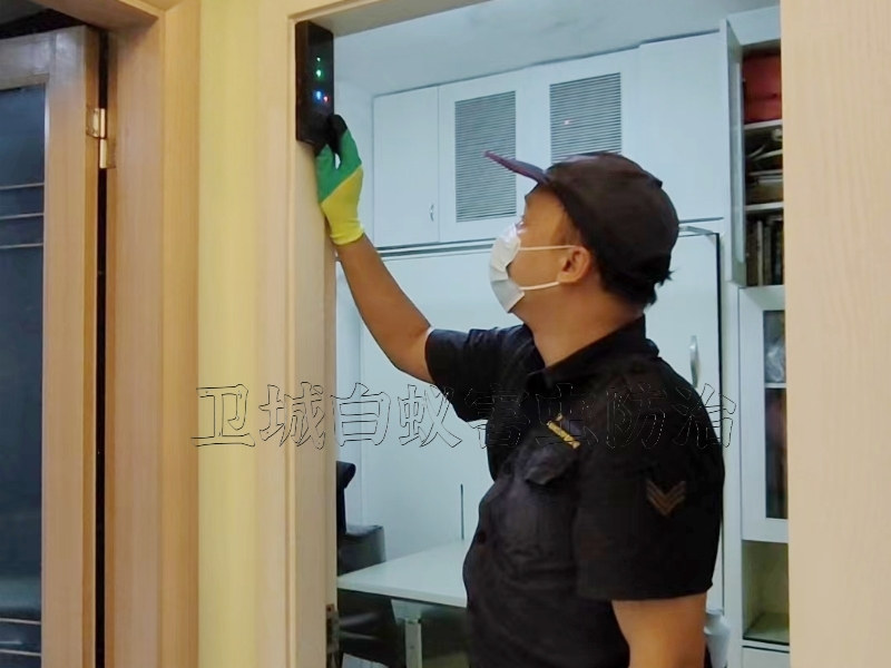 深圳光明区上门白蚁防治,光明区灭治白蚁,光明区清理白蚂蚁公司