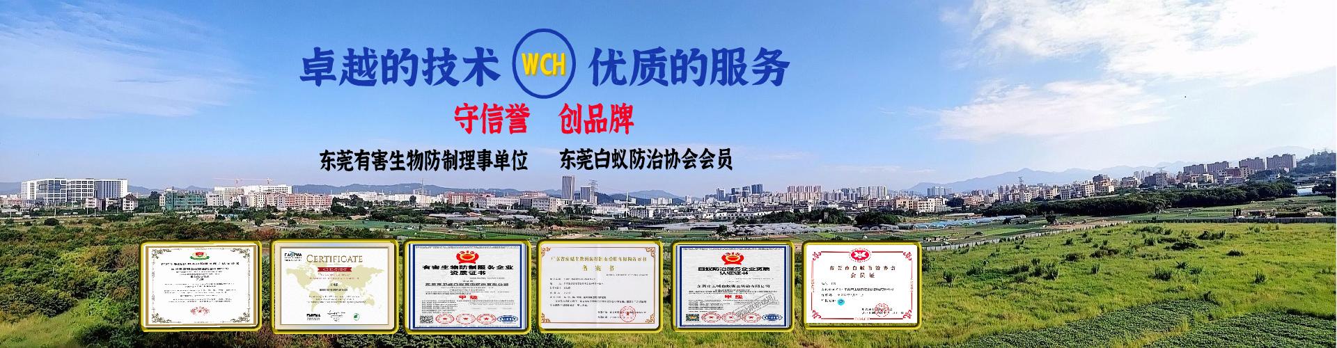 东莞南城白蚁防治,万江白蚁防治,东城白蚁防治