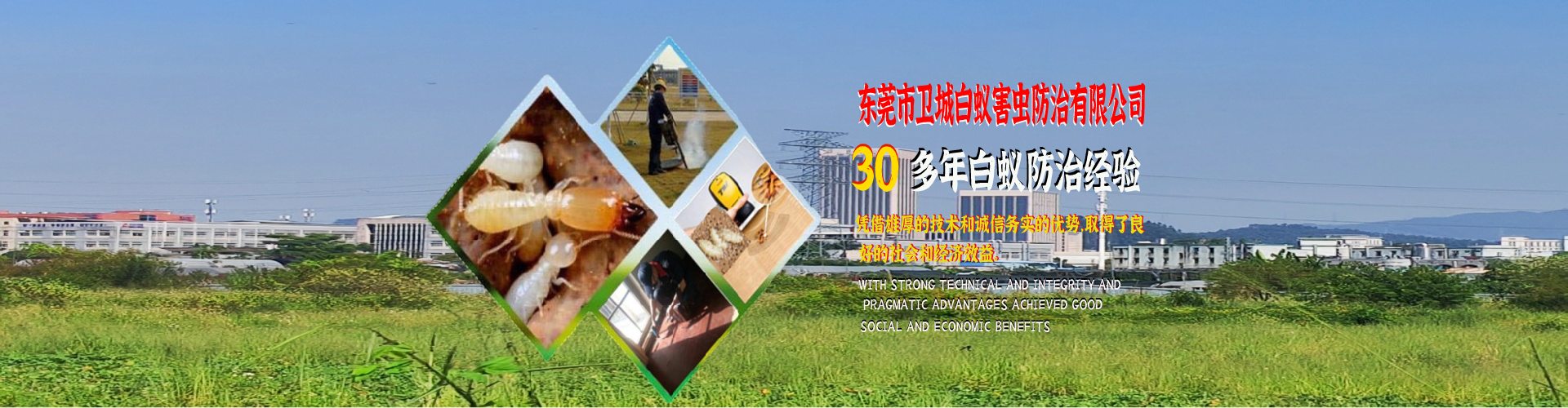 虎门白蚁防治,长安白蚁防治,厚街灭白蚁公司