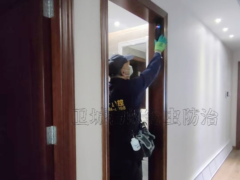 东莞企石白蚁防治,企石灭白蚁公司,企石杀白蚁,企石白蚁防治,企石白蚁公司