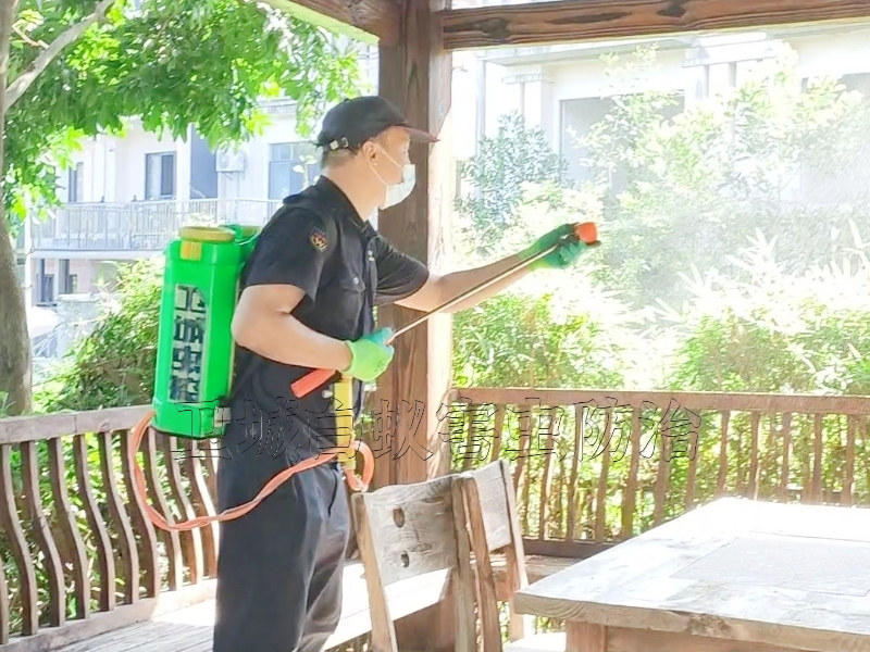 东莞石排白蚁防治,横沥灭白蚁公司（卫城虫控）